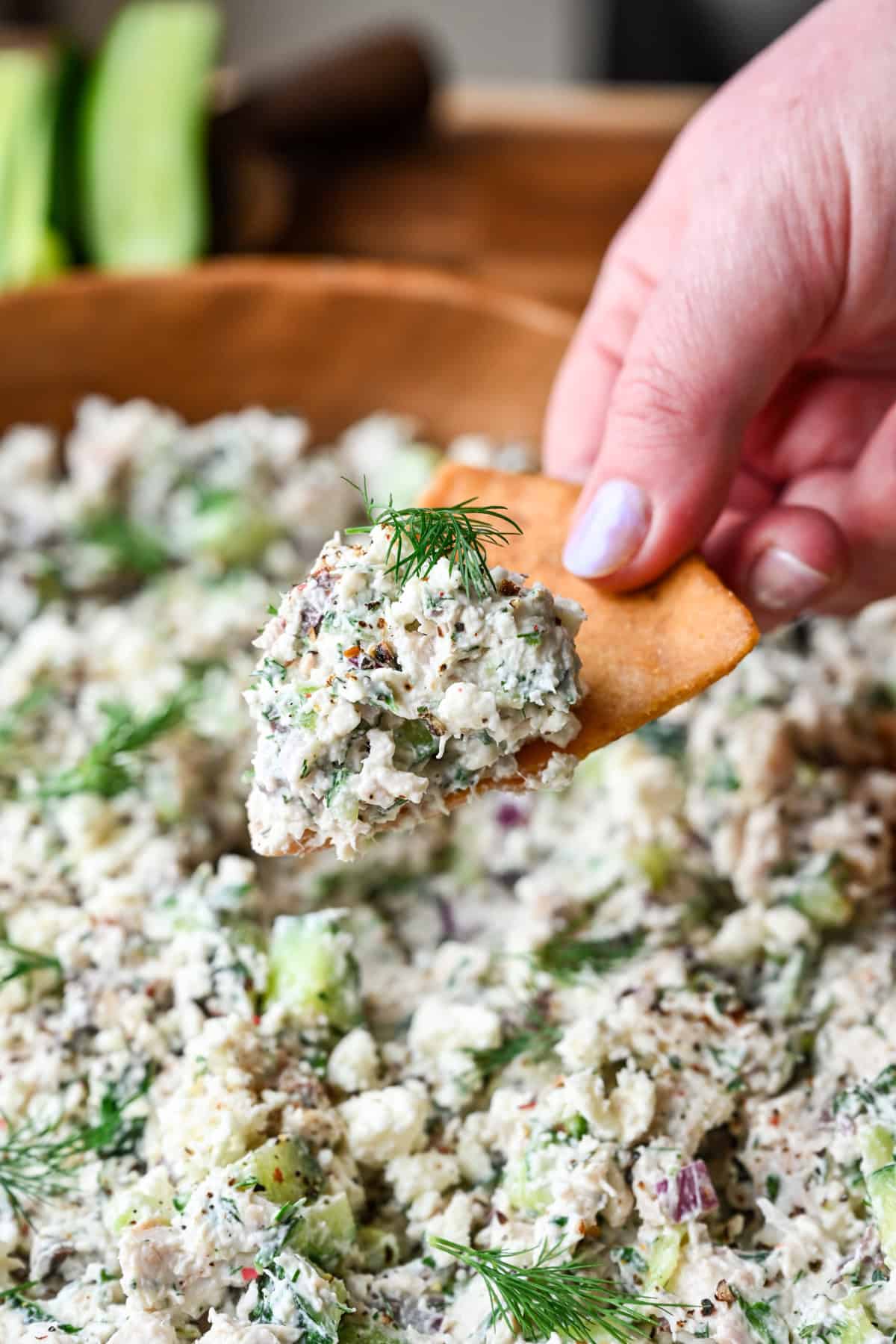 A pita chip with a scoop of tzatziki chicken salad on top.