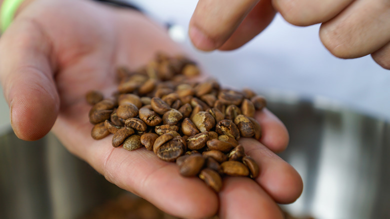 Picture of coffee beans in hand