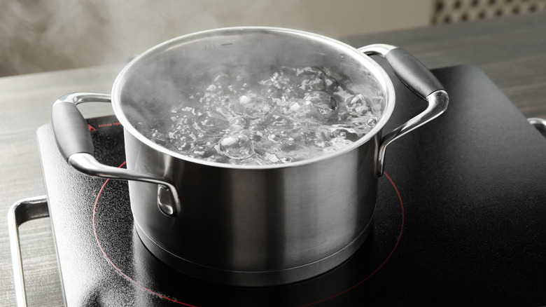 Clear liquid boiling in a pot on a stove