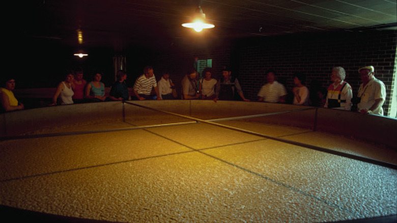 Tourists standing around a fermentation tank with fermenting mash at Jack Daniel's distillery