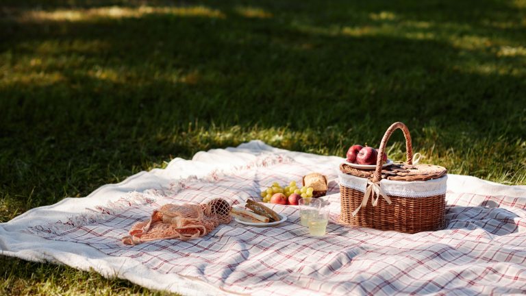 Make Your Picnics Easier With This Fast Food Item

