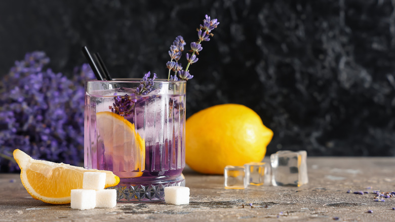 Lavender lemon cocktail surrounded by fresh ingredients