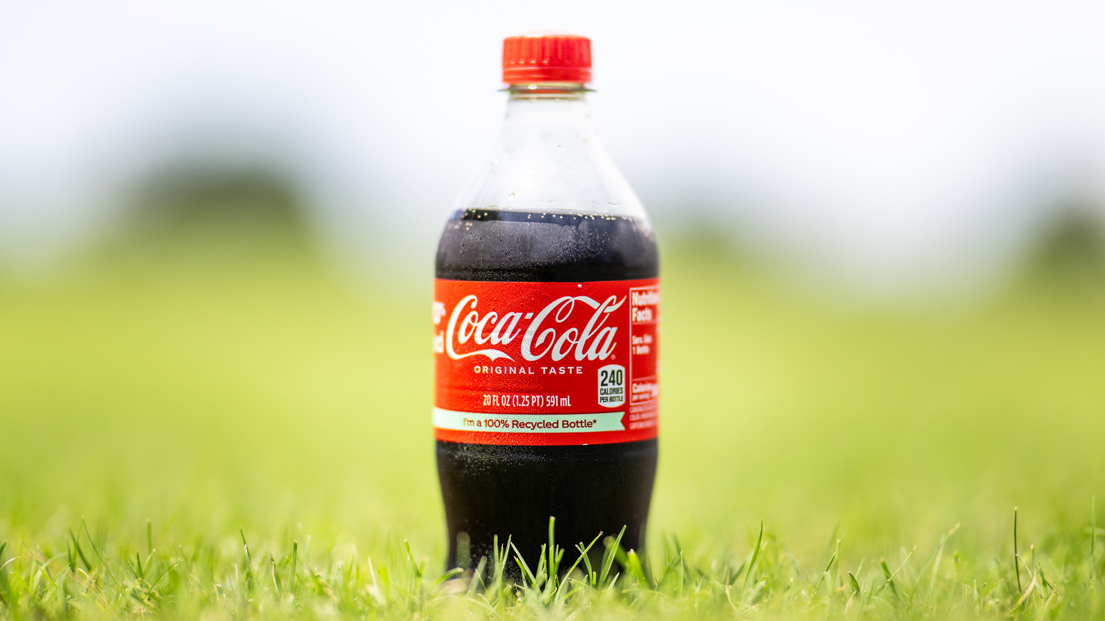 How To Turn Any Soda Into A Slushy Without A Special Machine

