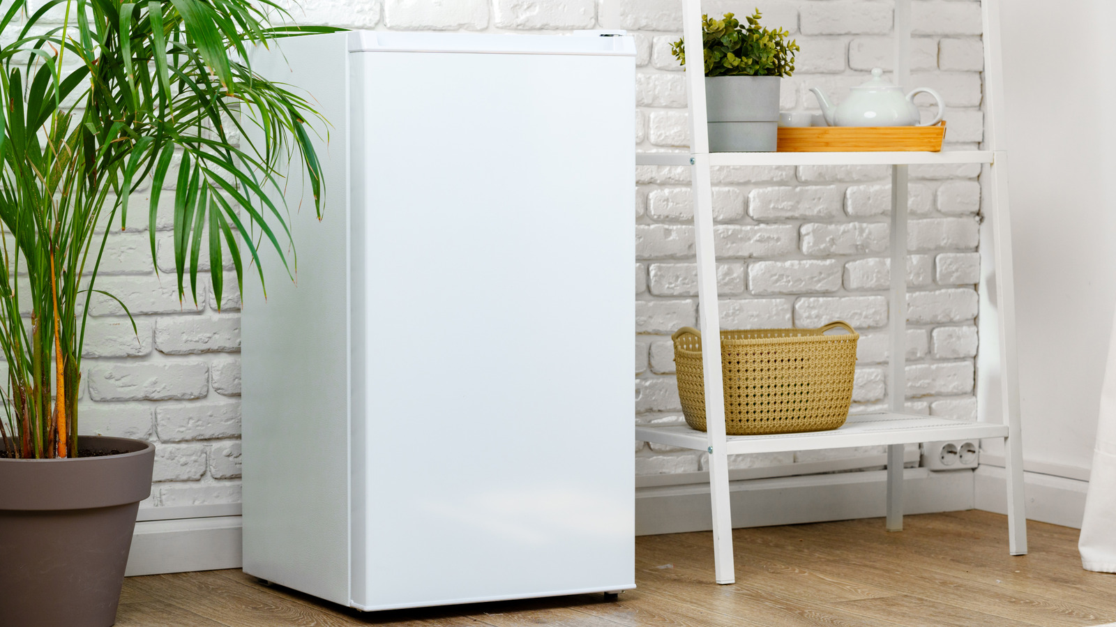What's The Average Lifespan Of A Mini Fridge?