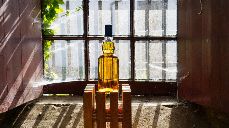Bottle of Scotch whisky in direct sunlight from nearby window.