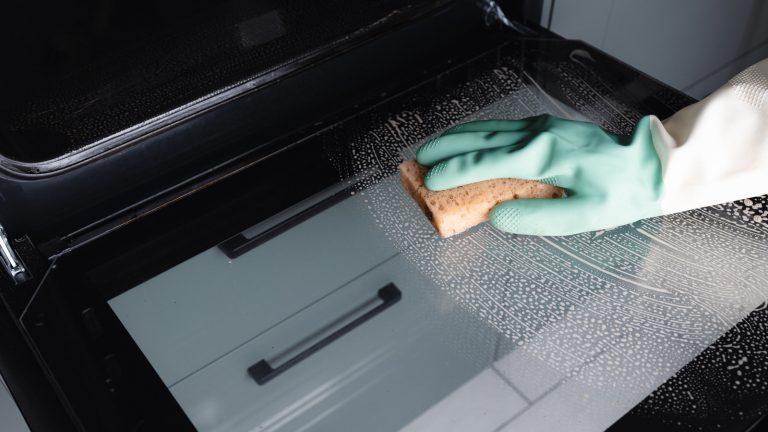 Never Clean Your Oven? Here's The Gross Reality Of That Choice

