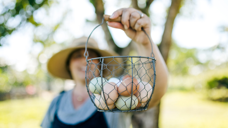 Blue, brown, and white eggs in a wire basket being held by a woman in the background wearing a farmer's hat.