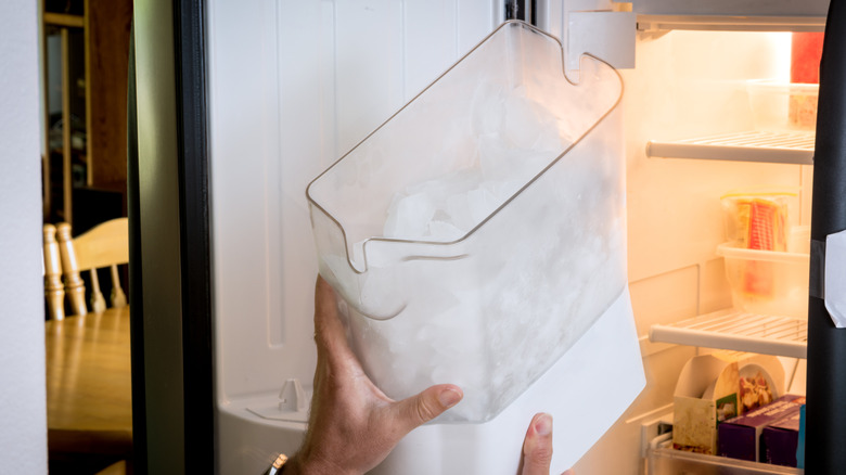 Person removing ice container full of ice cubes from freezer
