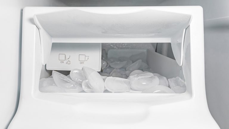 5 Disadvantages Of An Ice Maker In Your Fridge

