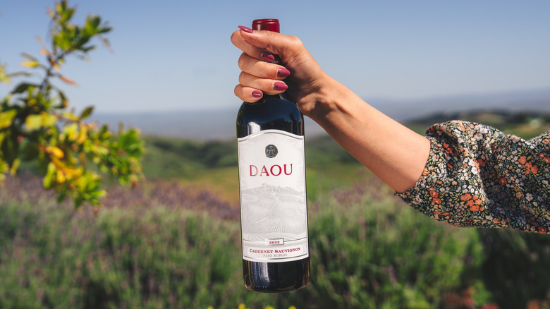 Woman's hand holds bottle of DAOU wine