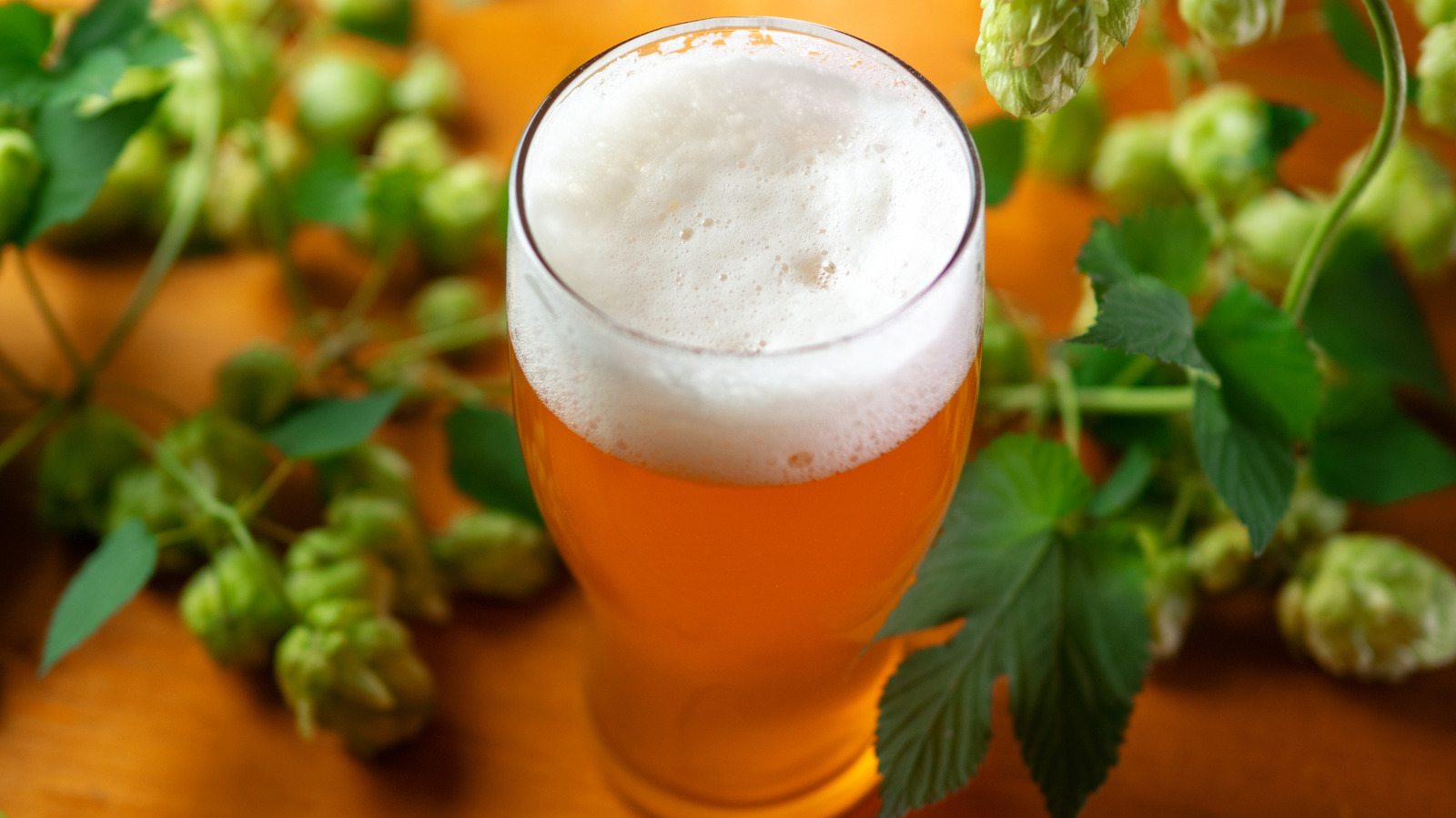 IPAs Are 10x Tastier When Paired With This Citrus (Not Lemon Or Lime)

