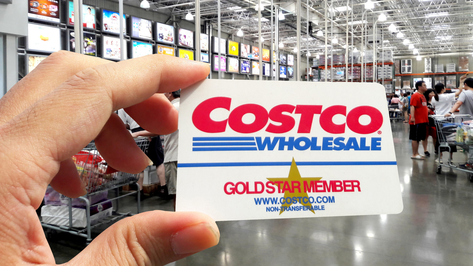 The Best Value Costco Kitchen Appliances In 2026

