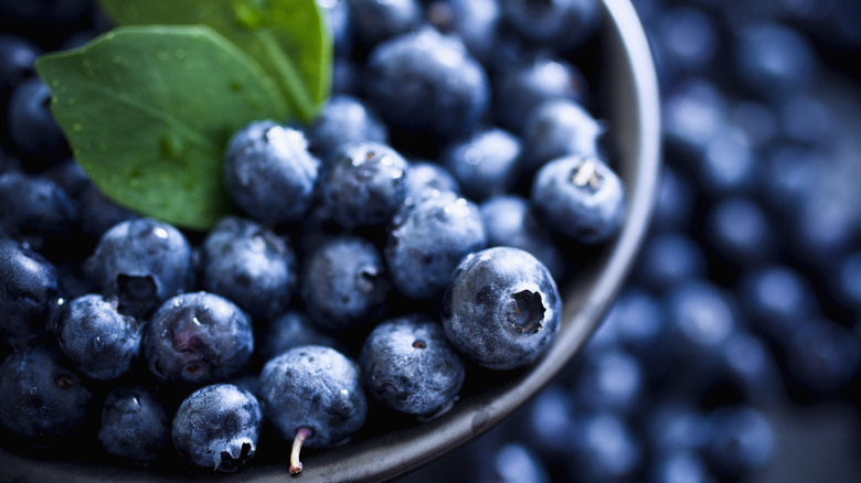 A closeup of fresh blueberries
