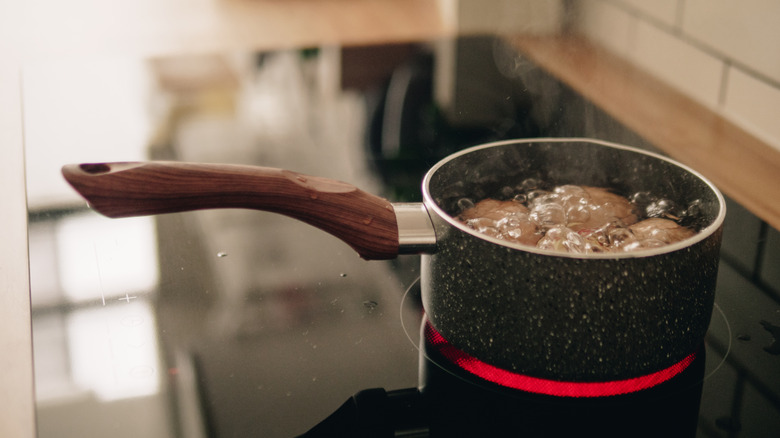 Person boiling eggs on a flat-top stove