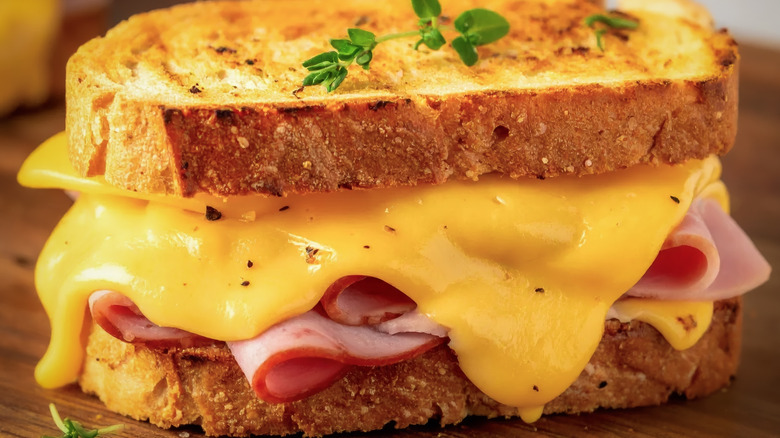 A closeup of a gooey grilled cheese sandwich with ham