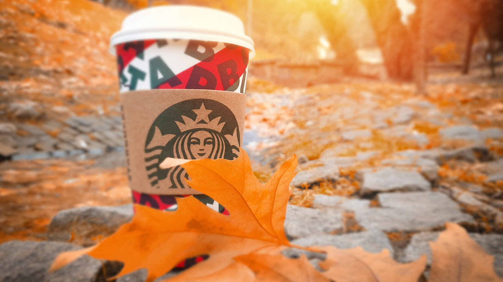 10 Discontinued Fall Starbucks Foods Customers Still Miss To This Day

