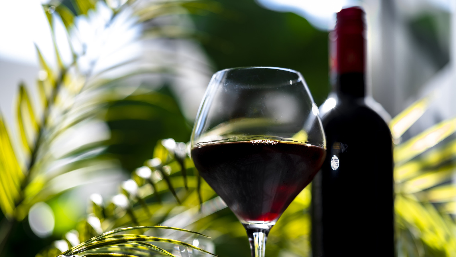 The Best Coffee Shop In Hawaii Is Also Behind This Award-Winning Wine Bar Visitors Can't Skip

