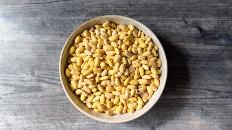 Dried Mayocoba beans in bowl on countertop