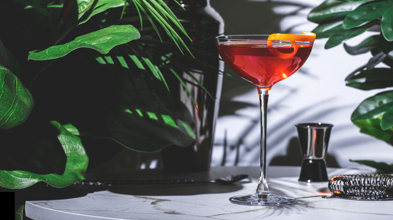 A Hanky Panky cocktail on a table next to plants