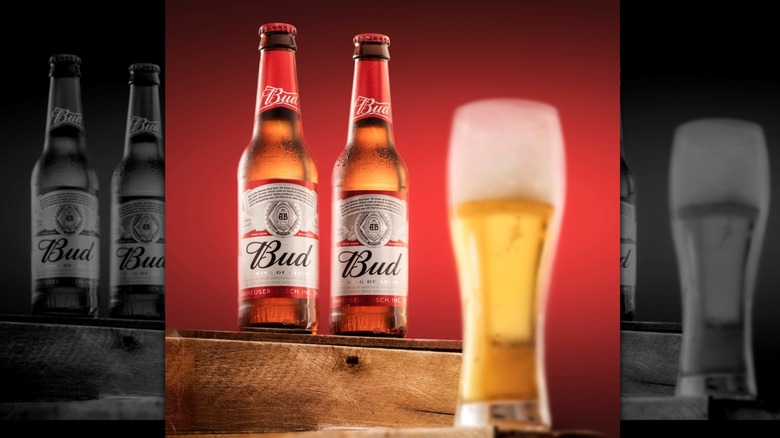 Two bottles of Budweiser with a glass of Budweiser in the foreground