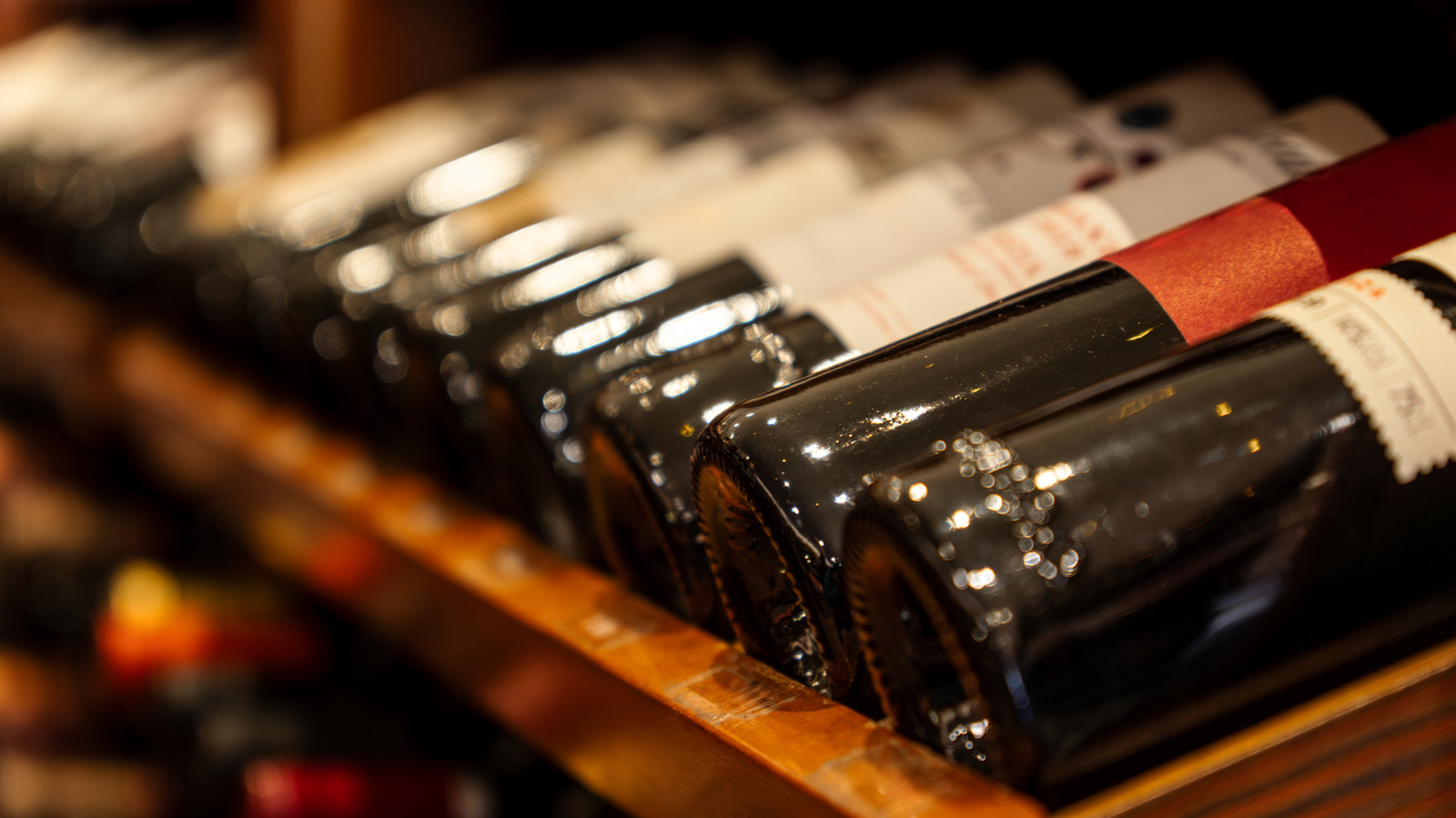 Merlot Vs Malbec — What's The Actual Difference?

