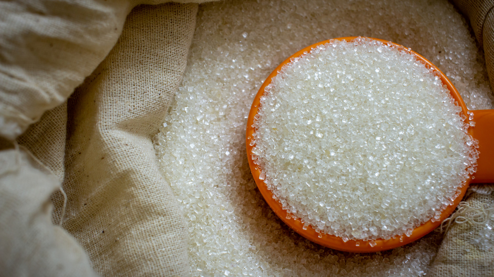 Boomers May Remember This Sugar-Dipped Childhood Snack From The Garden

