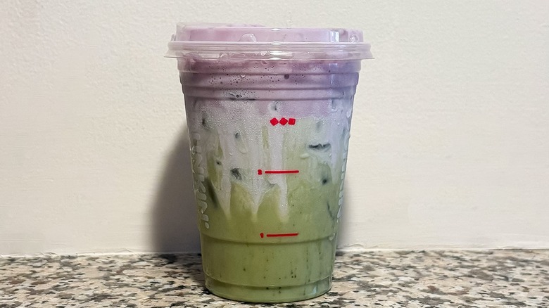 Small Dunkin' Franki Matcha on a granite counter top