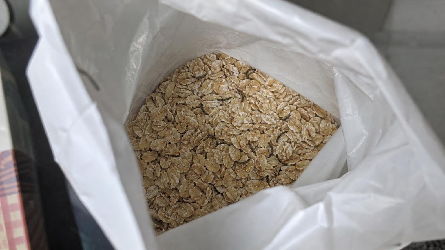 Havregrynene står i den åbnede pose i de fleste danske skabe: efter fire uger er de ikke længere alene i posen